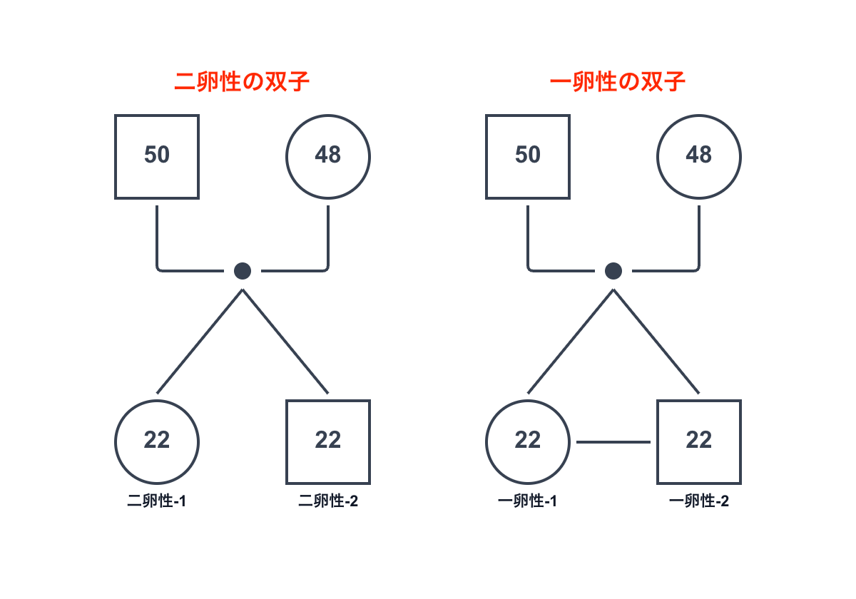 ジェノグラムでの一卵性双子と二卵性双子の区別